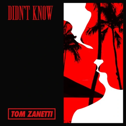Tom Zanetti - Didn't know CD cover